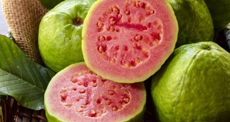 Nutrición
