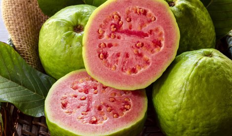 Nutrición