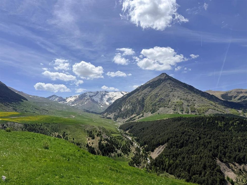 PIrineo aragonés.