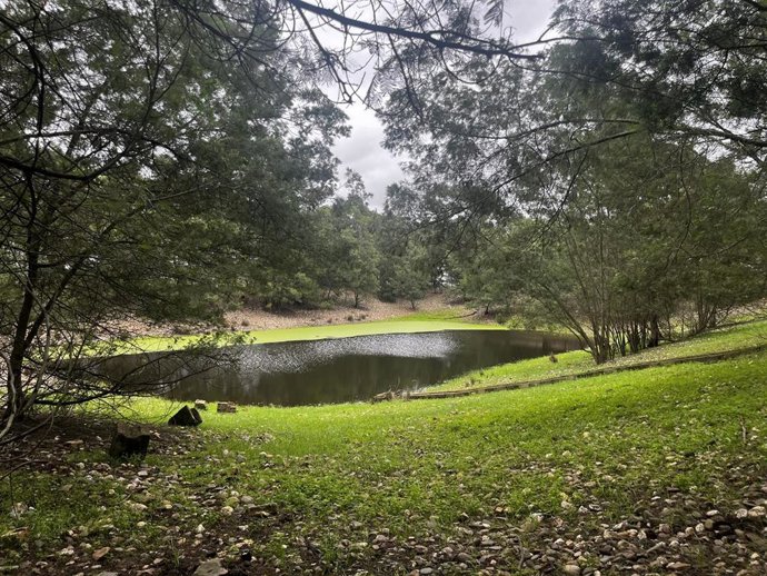 Archivo - Una de las balsas de la finca Los Mimbrales, en Almonte (Huelva).