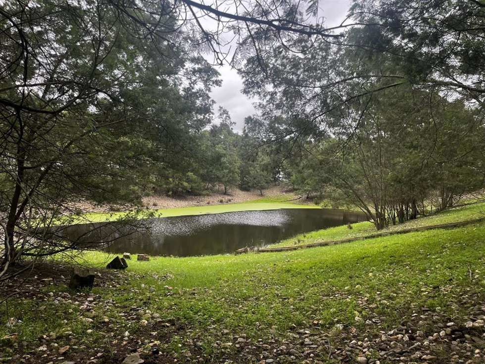 Archivo - Una de las balsas de la finca Los Mimbrales, en Almonte (Huelva).