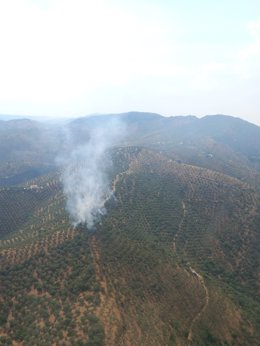 Zona agrícola incendiada en Pozoblanco (Córdoba) a causa del impacto de un rayo.