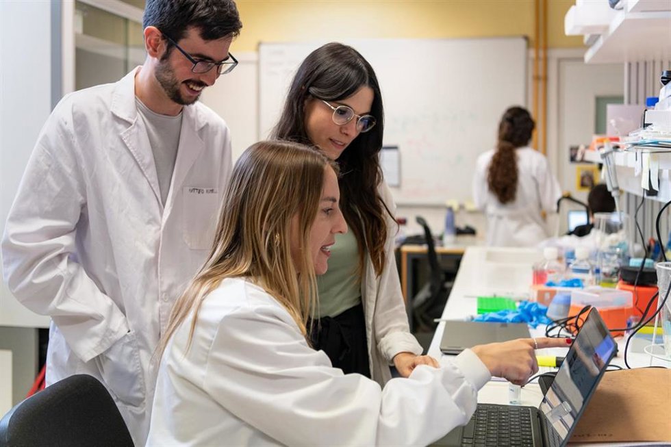 Idean una nueva estrategia que convierte la inmunidad frente al sarampión en una herramienta contra el cáncer