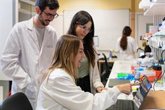 Foto: Idean una nueva estrategia que convierte la inmunidad frente al sarampión en una herramienta contra el cáncer