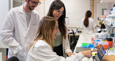 Investigación