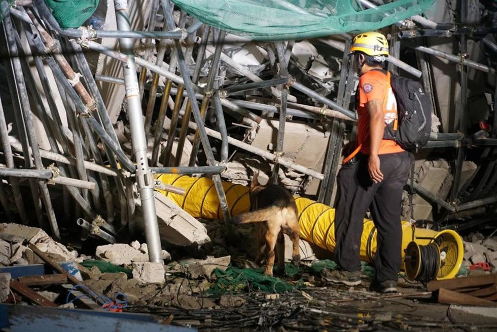 Un rescatista busca supervivientes con un perro de búsqueda y rescate en el lugar donde se ha derrumbado un edificio en la ciudad de Ángeles, provincia de Pampanga, Filipinas.