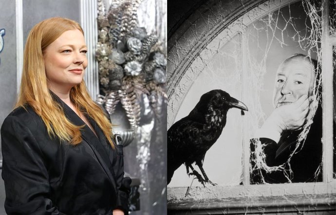 Archivo - Sarah Snook protagonizará una serie de Los pájaros que reinventará el clásico de Hitchcock