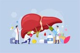 Foto: La OMC firma la 'Declaración de Madrid' para frenar el impacto del hígado graso y convertirlo en una prioridad de salud