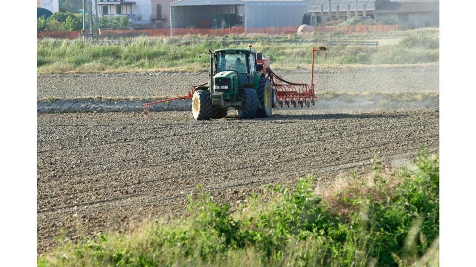 Imagen de un campo de cultivo