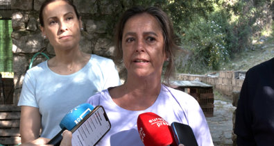 Vídeos