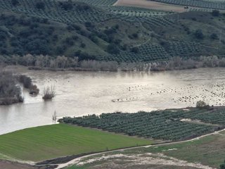 Asaja exige la publicación del tercer listado de ayudas por borrascas y denuncia el "engaño" del Gobierno