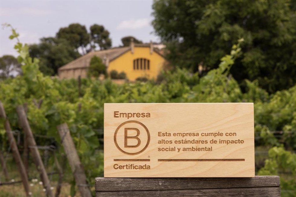 Imagen de la certificación B Corp