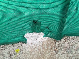 Pequeña apertura efectuada en el vallado perimetral.