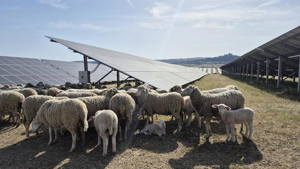 Planta fotovoltaica