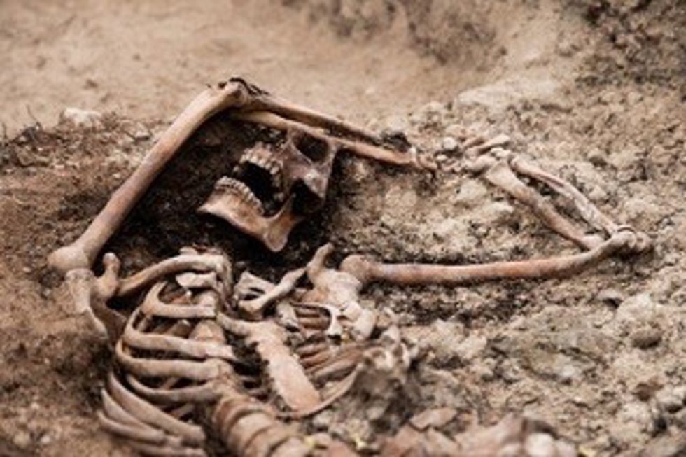 Exhumación de una fosa en el cementerio de Padul (Granada)