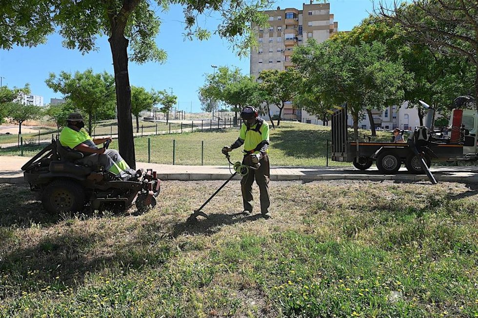 Trabajos de desbroce en la zona de Vallesequillo en Jerez.