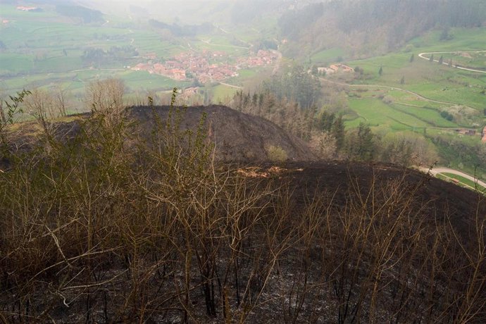 Archivo - Incendio forestal en foto de archivo