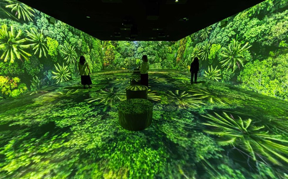 Arte, ciencia y tecnología se alían en la nueva experiencia inmersiva de CaixaForum Madrid, Somos Naturaleza.