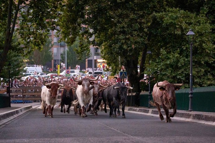 Encierrillo de San Fermín.