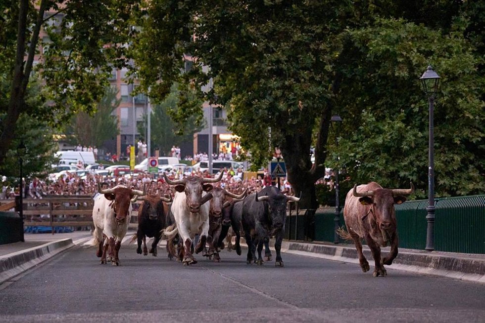 Encierrillo de San Fermín.