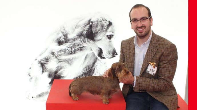 Cómo elegir el cachorro de Teckel ideal