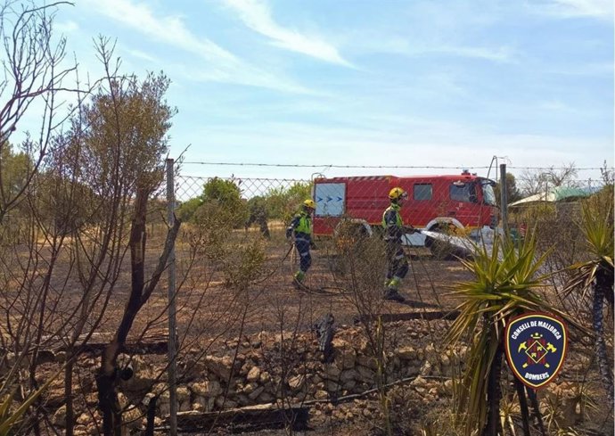 Efectivos de los Bomberos de Mallorca trabajan en la extinción de un incendio agrícola declarado en Binissalem.