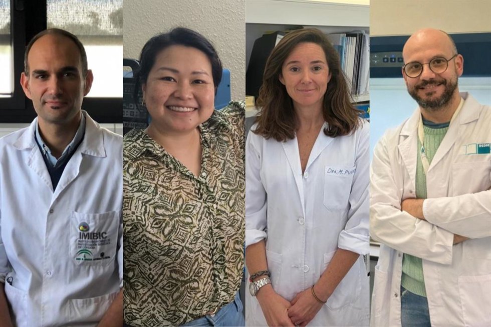 Archivo - Los investigadores Manuel Gahete, Jia Yan, Víctor José Carrión y María Puerto,distinguidos por la US con el Premio Manuel Losada Villasante