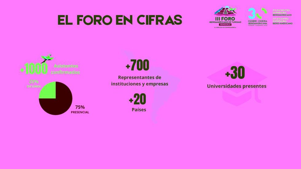 Boletín FIT