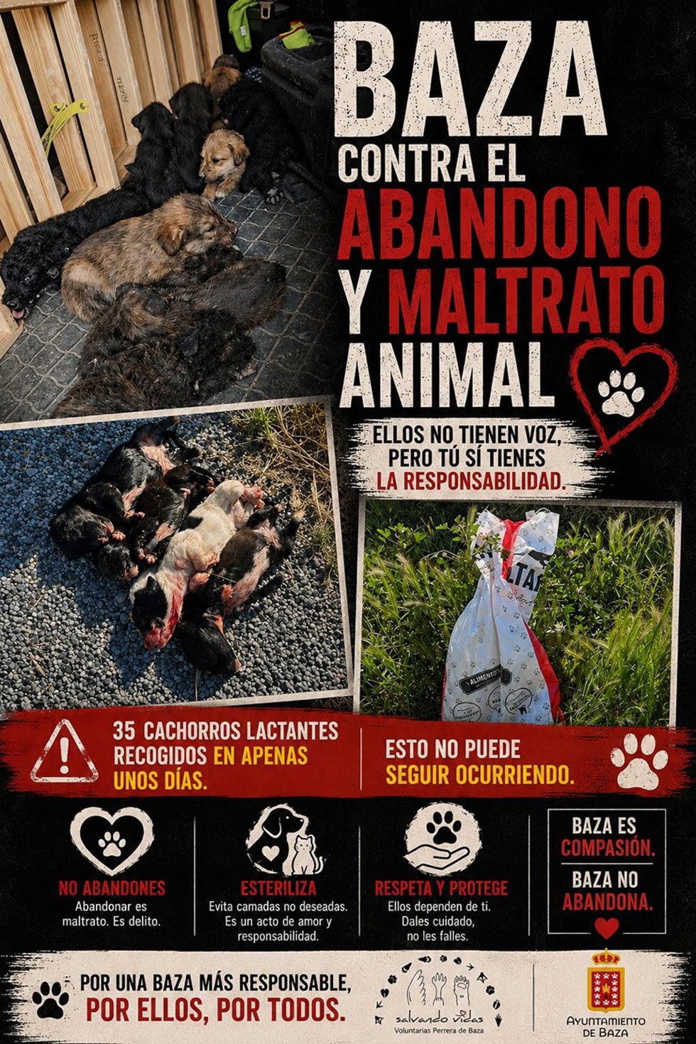 Entre los casos más recientes y graves en la ciudad granadina se encuentra el hallazgo de siete cachorros recién nacidos abandonados dentro de un saco y golpeados, de los cuales cinco habían fallecido.