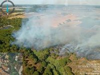 Controlado el incendio en el paraje Valdeflores de Cartaya (Huelva)
