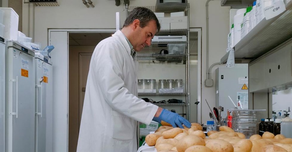 Christian Ghidelli, investigador principal del departamento agroalimentario de Funditec Research Sciences