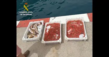 La Guardia Civil interviene en La Gomera más de 28 kilos de pescado y marisco transportados de forma irregular