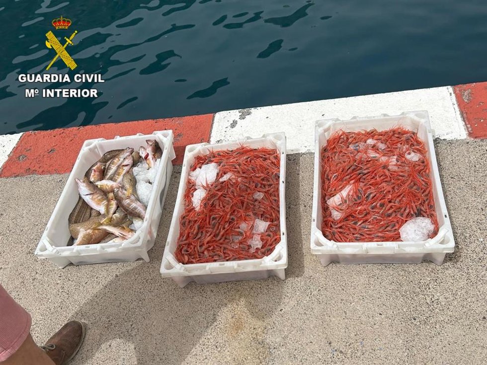 La Guardia Civil interviene en La Gomera más de 28 kilos de pescado y marisco transportados de forma irregular