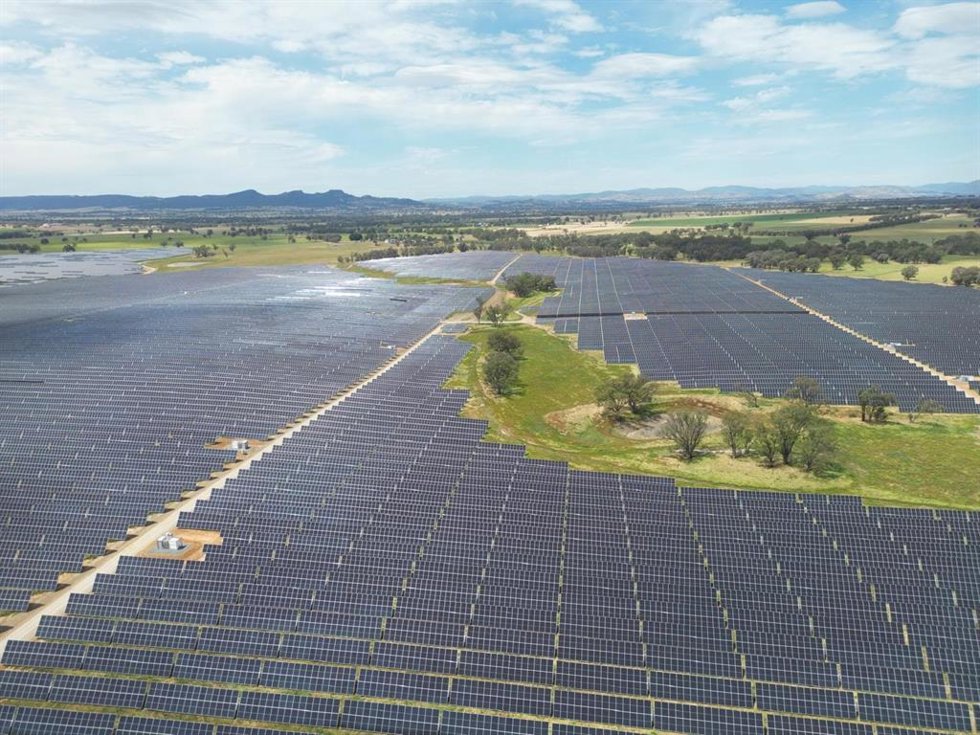 Planta en Australia