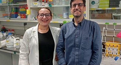 Investigación