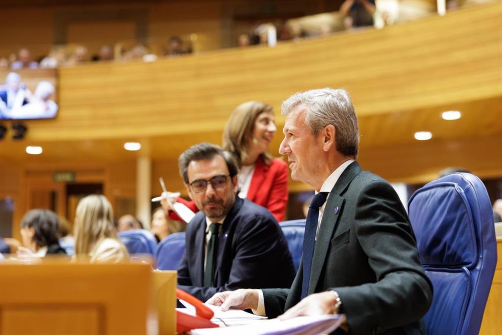 El presidente de la Xunta, Alfonso Rueda, en la sesión de control del Parlamento de Galicia