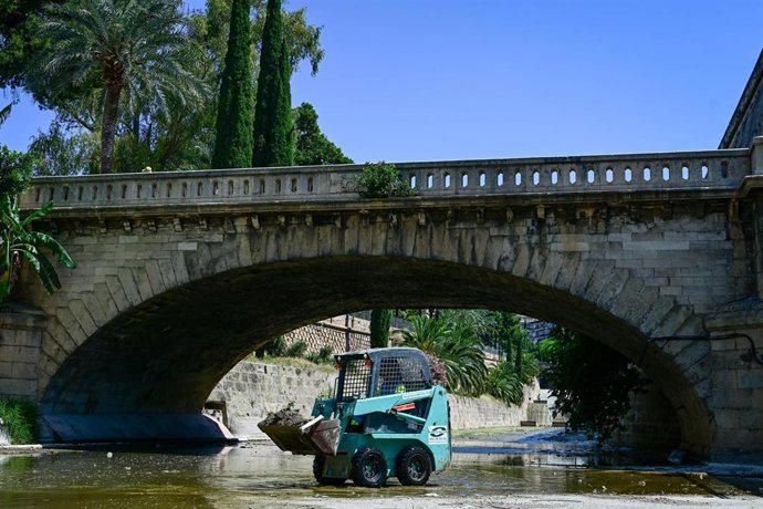 Archivo - Limpieza del caude de sa Riera.
