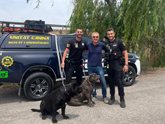 Foto: La Policía Local de Cullera recupera dos perros robados en Pinedo y facilita su retorno con la familia