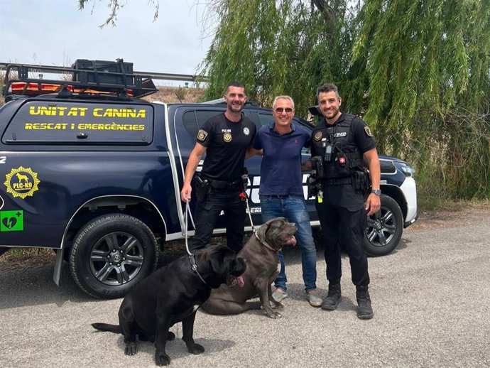 Perros recuperados