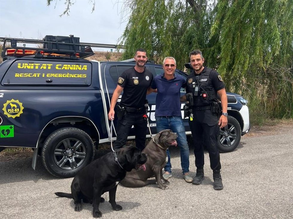 Perros recuperados