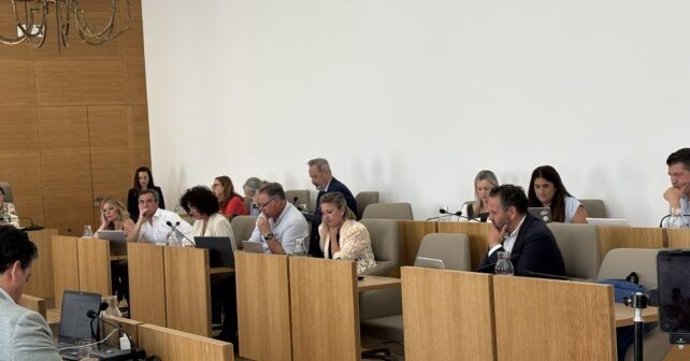 Representantes del PSOE en el Pleno de la Diputación Provincial de Huelva.