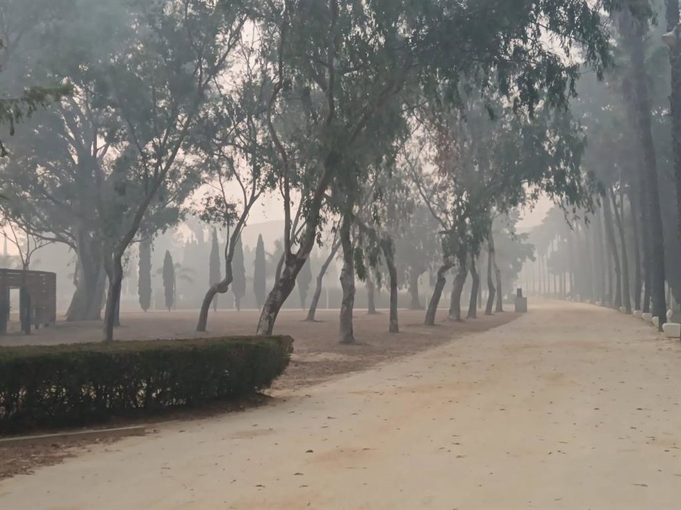 Humo en Huelva este pasado martes por el incendio en Marismas del Burro.