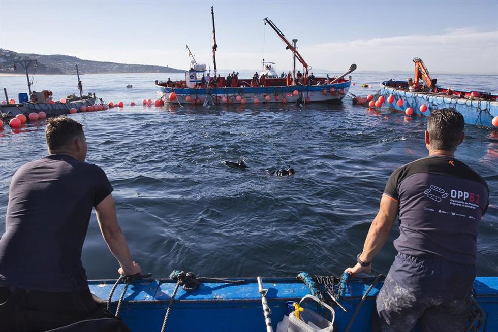 Archivo - Varios pescadores durante la ‘levantá’ del atún en las inmediaciones de Barbate, a 27 de mayo de 2025, en Barbate, Cádiz, Andalucía (España). 