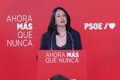 PSOE tillskriver de "oacceptabla" händelserna i "Leire-fallet" till "lurar" som använder partiets namn förgäves.