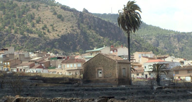 Vídeos
