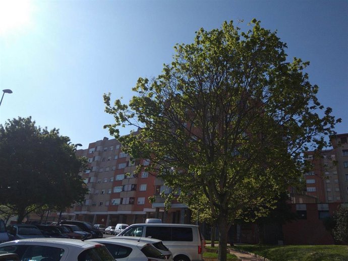 Archivo - Cielos despejados