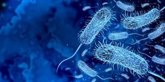 Foto: Manikomicina: el nuevo antibiótico que ataca a las superbacterias donde antes no se había actuado