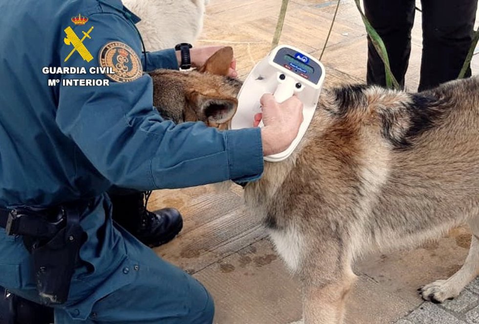 Fotografía de archivo de un componente de la Guardia Civil en una intervención con un perro