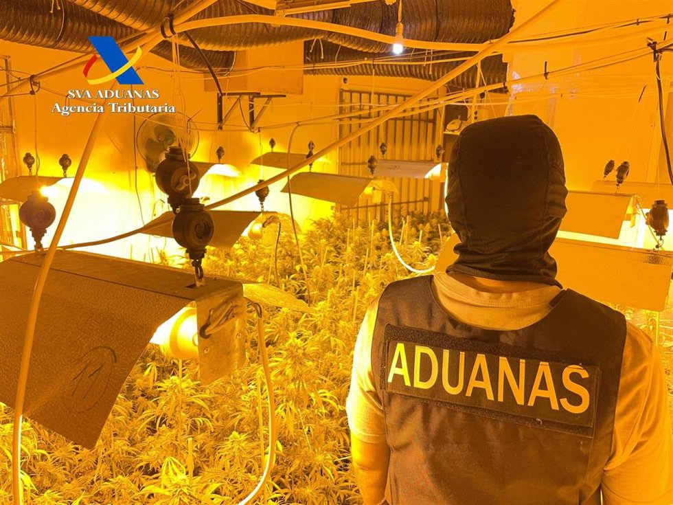 Agente de Vigilancia Aduanera de la Agencia Tributaria en el desmantelamiento de una plantación de marihuana en Granada.