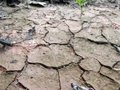 CCOO-A pide abordar los efectos del cambio climático desde una perspectiva social para priorizar el empleo de calidad